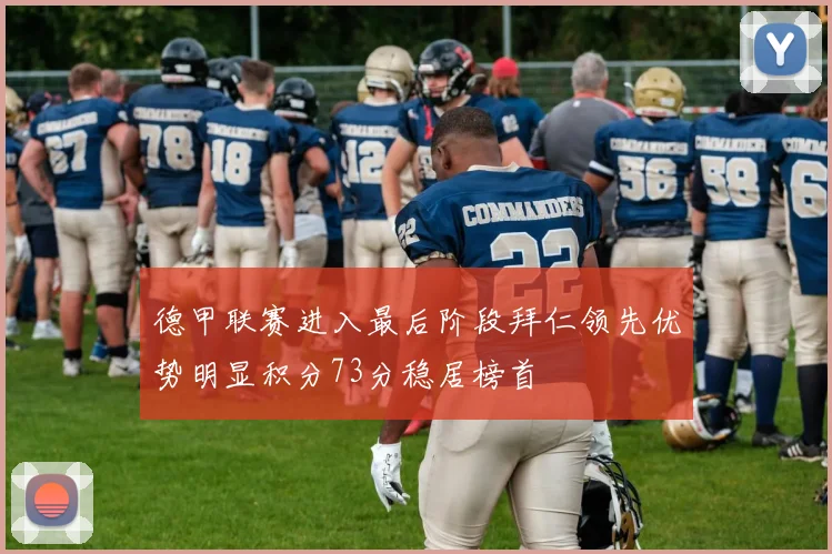 德甲联赛进入最后阶段拜仁领先优势明显积分73分稳居榜首